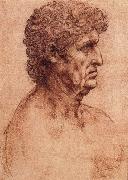 LEONARDO da Vinci Profile of an old man